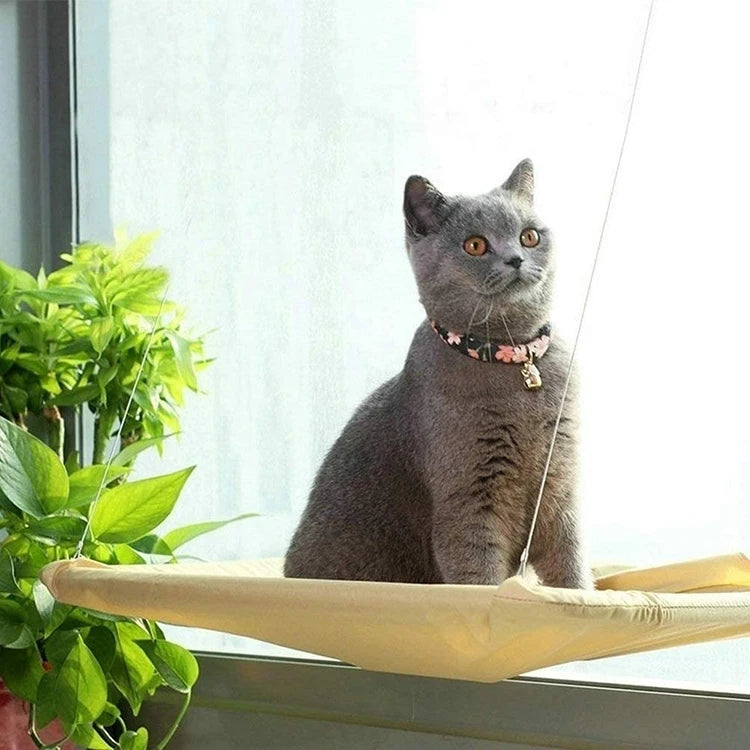 Cat Hammock Window Seat Breathable Mesh Cat Window Perch Space Saving Window Mounted Cat Bed for Sunbath