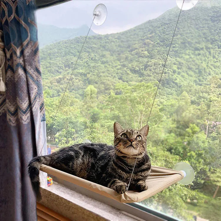 Cat Hammock Window Seat Breathable Mesh Cat Window Perch Space Saving Window Mounted Cat Bed for Sunbath